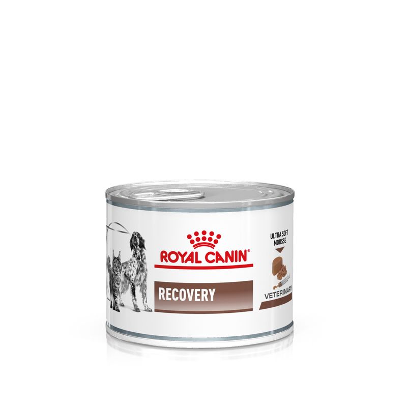 Royal Canin Recovery Veterinary Canine&Feline Mousse 195gr Royal Canin Recovery Veterinary Canine&Feline Mousse 195gr
